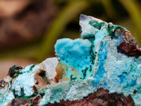Natural Drusy Coated Malacolla On Dolomite Specimens x 5 From Congo