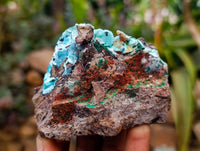 Natural Drusy Coated Malacolla On Dolomite Specimens x 5 From Congo