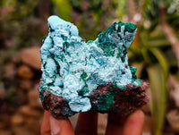 Natural Drusy Coated Malacolla On Dolomite Specimens x 5 From Congo