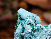 Natural Drusy Coated Malacolla On Dolomite Specimens x 5 From Congo