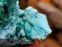 Natural Drusy Coated Malacolla On Dolomite Specimens x 5 From Congo