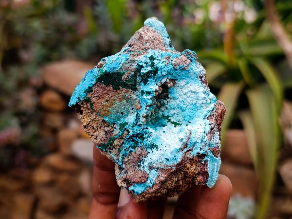 Natural Drusy Coated Malacolla On Dolomite Specimens x 5 From Congo - Toprock Gemstones and Minerals 