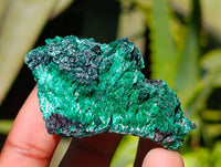 Natural Silky Malachite Specimens x 12 From Kasompe, Congo - Toprock Gemstones and Minerals 