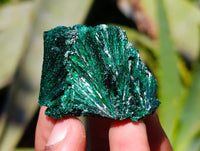 Natural Silky Malachite Specimens x 12 From Kasompe, Congo - Toprock Gemstones and Minerals 