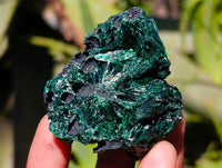 Natural Silky Malachite Specimens x 12 From Kasompe, Congo - Toprock Gemstones and Minerals 