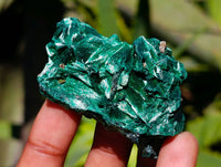 Natural Silky Malachite Specimens x 12 From Kasompe, Congo - Toprock Gemstones and Minerals 