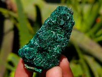 Natural Silky Malachite Specimens x 12 From Kasompe, Congo - Toprock Gemstones and Minerals 