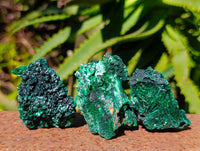 Natural Silky Malachite Specimens x 12 From Kasompe, Congo - Toprock Gemstones and Minerals 