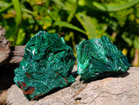 Natural Silky Malachite Specimens x 12 From Kasompe, Congo - Toprock Gemstones and Minerals 