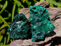 Natural Silky Malachite Specimens x 12 From Kasompe, Congo - Toprock Gemstones and Minerals 