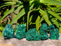 Natural Silky Malachite Specimens x 12 From Kasompe, Congo - Toprock Gemstones and Minerals 