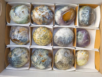 Polished Dendritic White Opal Palm Stones x 12 From Madagascar