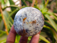 Polished Dendritic White Opal Palm Stones x 12 From Madagascar