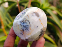 Polished Dendritic White Opal Palm Stones x 12 From Madagascar