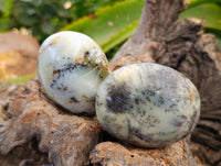 Polished Dendritic White Opal Palm Stones x 12 From Madagascar