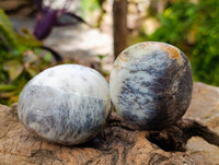 Polished Dendritic White Opal Palm Stones x 12 From Madagascar