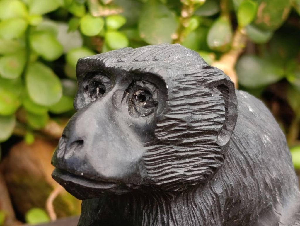 Hand Made Black Soapstone Baboon Carving x 1 From Zimbabwe - Toprock Gemstones and Minerals 