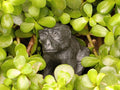 Hand Made Black Soapstone Baboon Carving x 1 From Zimbabwe - Toprock Gemstones and Minerals 