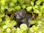Hand Made Black Soapstone Baboon Carving x 1 From Zimbabwe - Toprock Gemstones and Minerals 