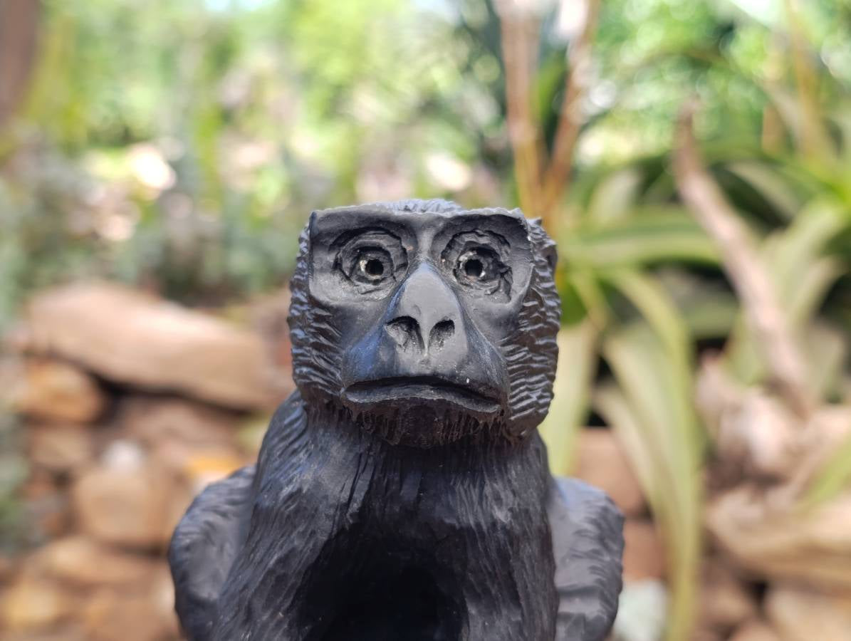 Hand Made Black Soapstone Baboon Carving x 1 From Zimbabwe - Toprock Gemstones and Minerals 