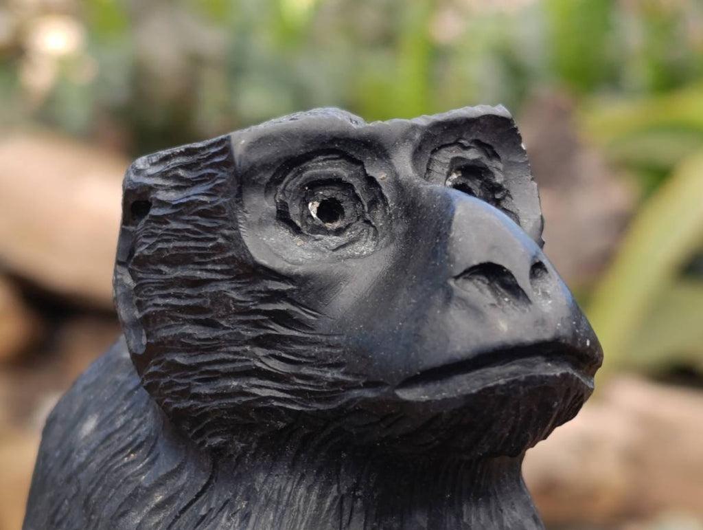 Hand Made Black Soapstone Baboon Carving x 1 From Zimbabwe - Toprock Gemstones and Minerals 