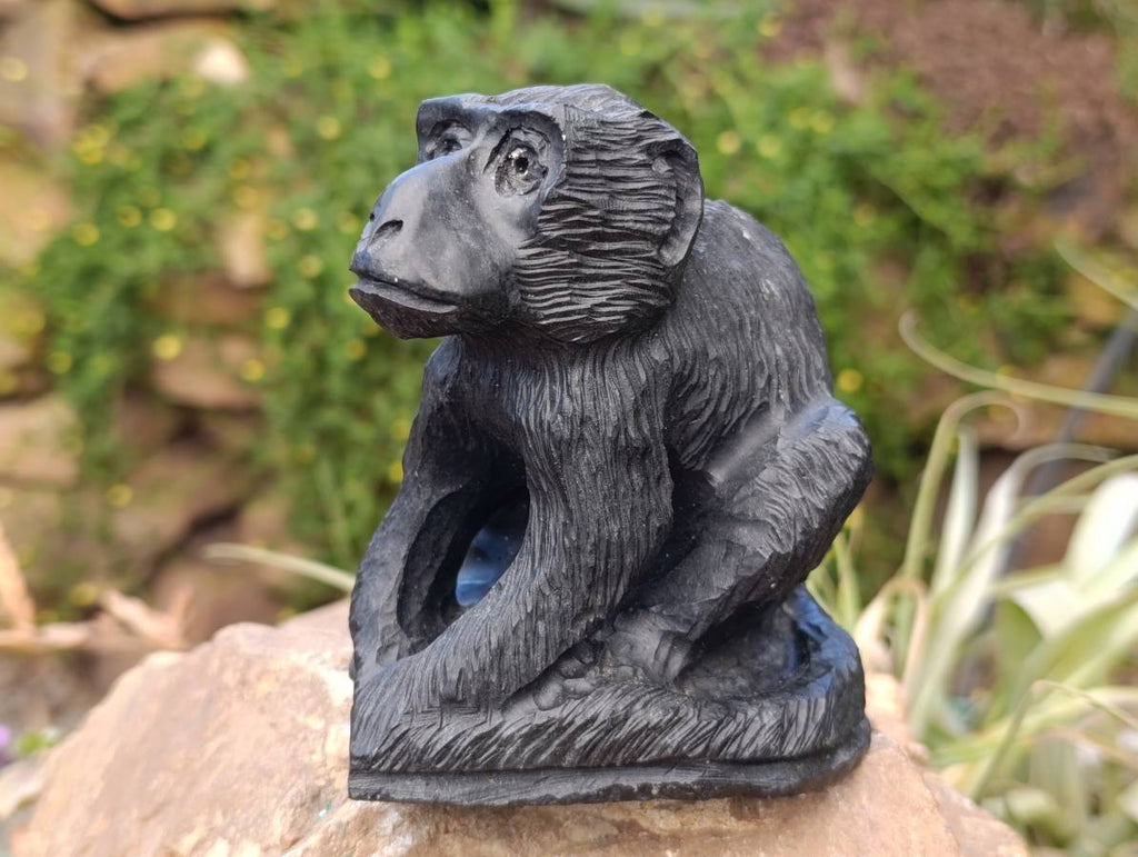 Hand Made Black Soapstone Baboon Carving x 1 From Zimbabwe - Toprock Gemstones and Minerals 