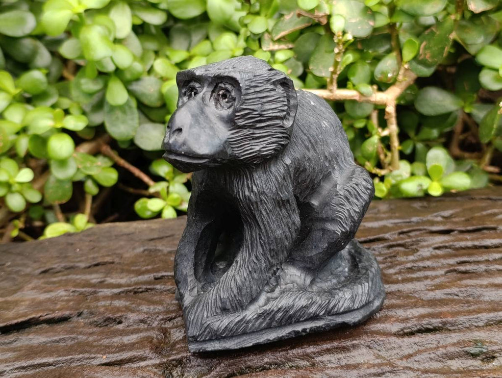 Hand Made Black Soapstone Baboon Carving x 1 From Zimbabwe - Toprock Gemstones and Minerals 