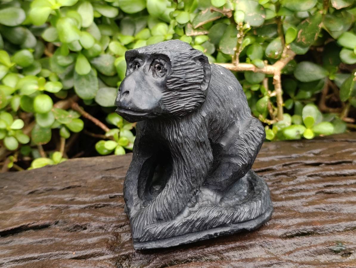 Hand Made Black Soapstone Baboon Carving x 1 From Zimbabwe - Toprock Gemstones and Minerals 