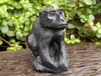 Hand Made Black Soapstone Baboon Carving x 1 From Zimbabwe - Toprock Gemstones and Minerals 