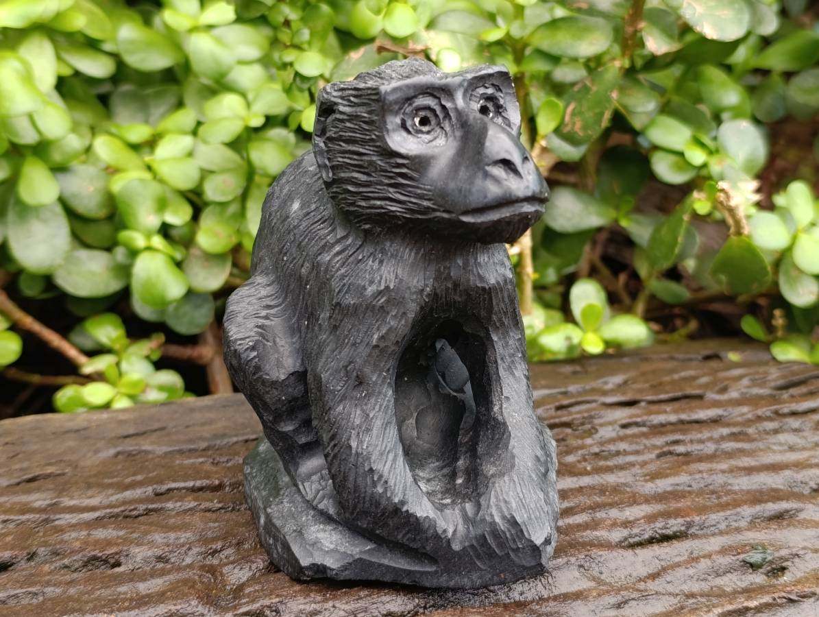 Hand Made Black Soapstone Baboon Carving x 1 From Zimbabwe - Toprock Gemstones and Minerals 