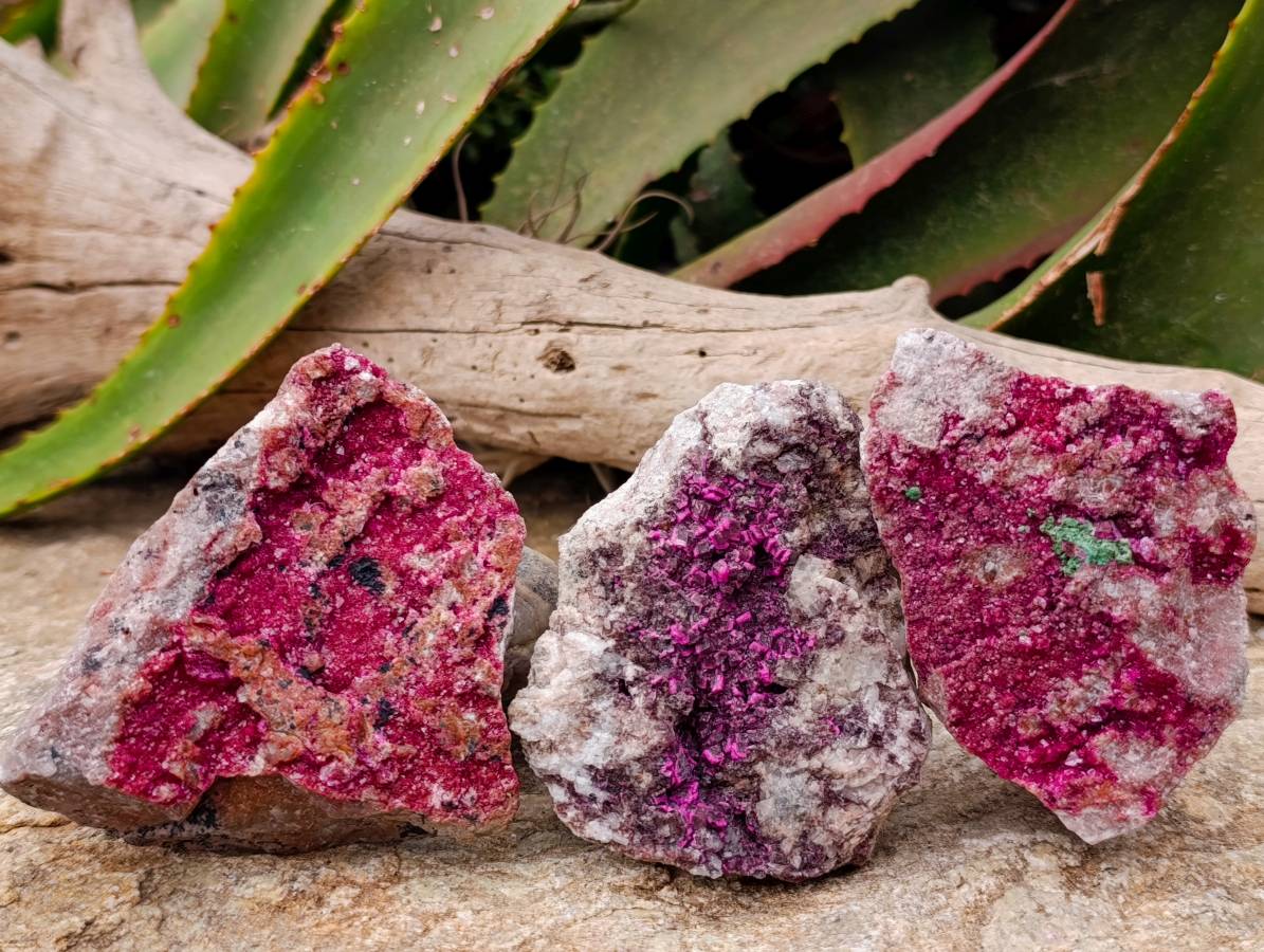 Natural Salrose Cobaltion Dolomite with Malachite Specimens x 5 From Kakanda, Congo - Toprock Gemstones and Minerals 