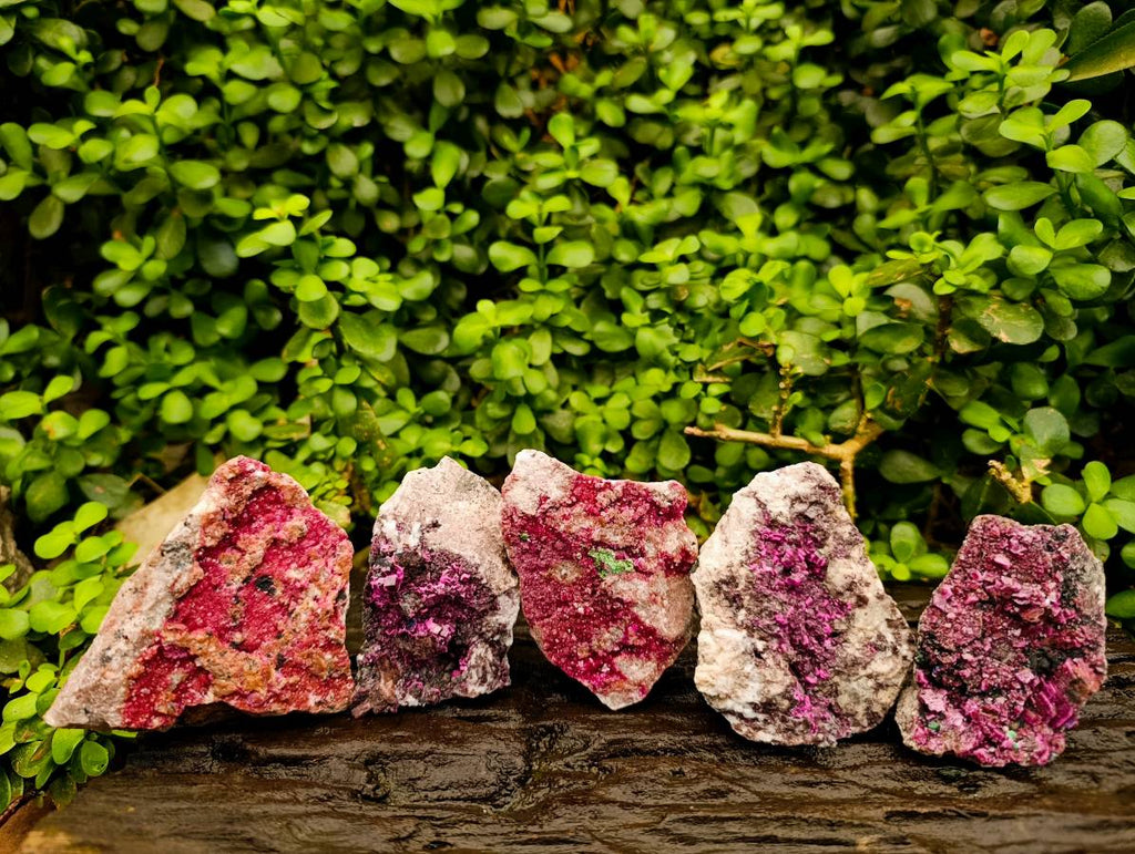 Natural Salrose Cobaltion Dolomite with Malachite Specimens x 5 From Kakanda, Congo - Toprock Gemstones and Minerals 