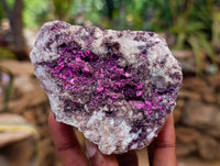 Natural Salrose Cobaltion Dolomite with Malachite Specimens x 5 From Kakanda, Congo - Toprock Gemstones and Minerals 