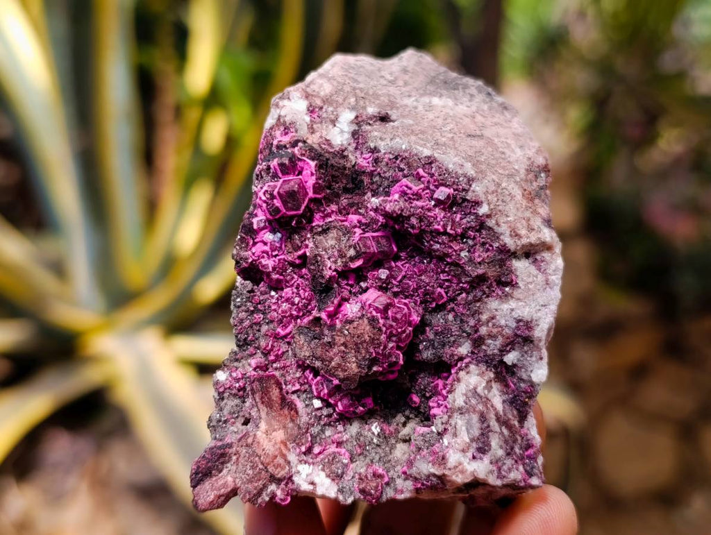 Natural Salrose Cobaltion Dolomite with Malachite Specimens x 5 From Kakanda, Congo - Toprock Gemstones and Minerals 