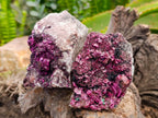 Natural Salrose Cobaltion Dolomite with Malachite Specimens x 5 From Kakanda, Congo - Toprock Gemstones and Minerals 