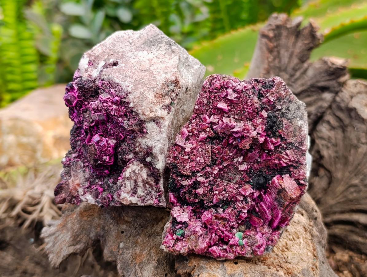 Natural Salrose Cobaltion Dolomite with Malachite Specimens x 5 From Kakanda, Congo - Toprock Gemstones and Minerals 