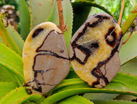 Polished Septerye Towers x 6 From Mahajanga, Madagascar