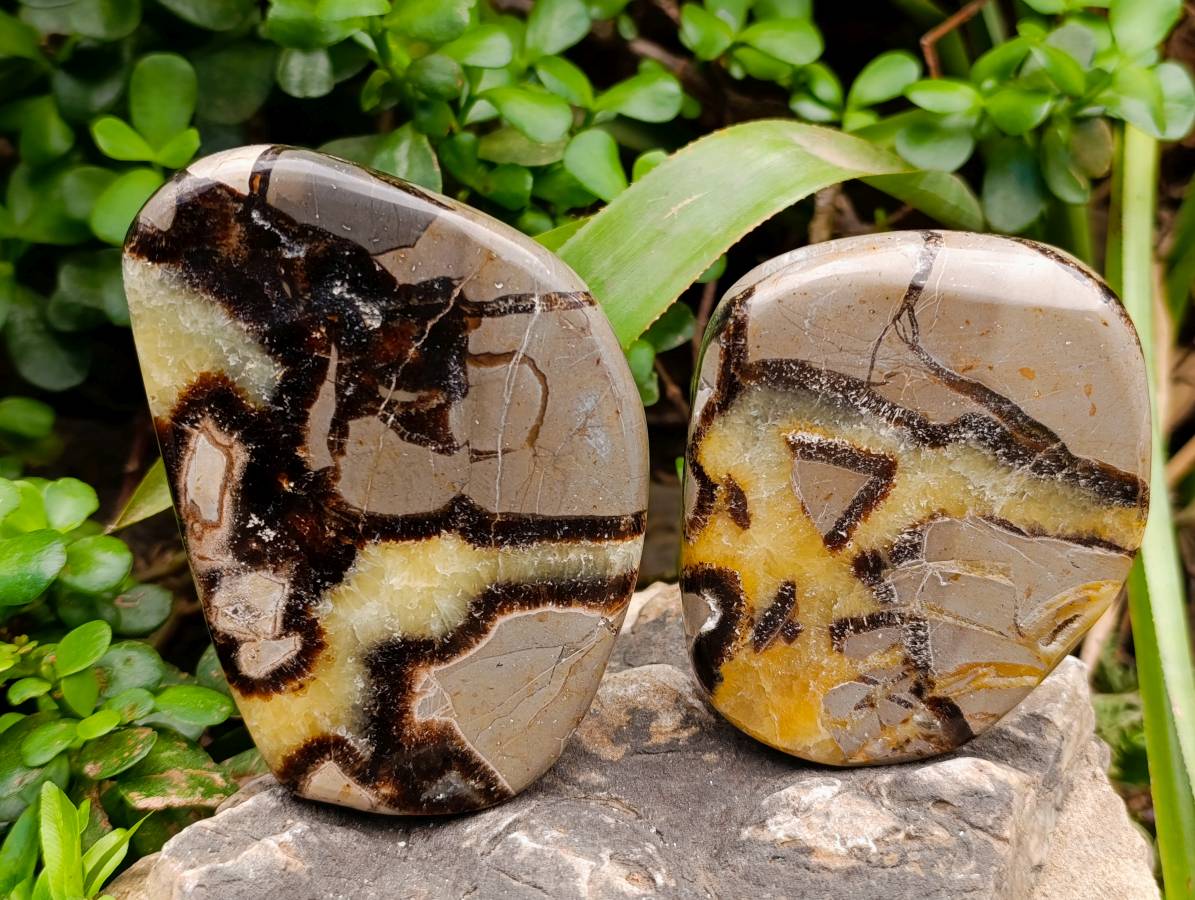 Polished Septerye Towers x 6 From Mahajanga, Madagascar - Toprock Gemstones and Minerals 