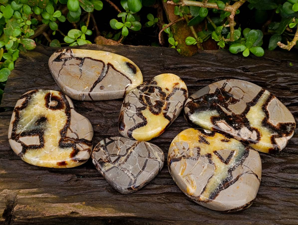 Polished Septerye Towers x 6 From Mahajanga, Madagascar - Toprock Gemstones and Minerals 