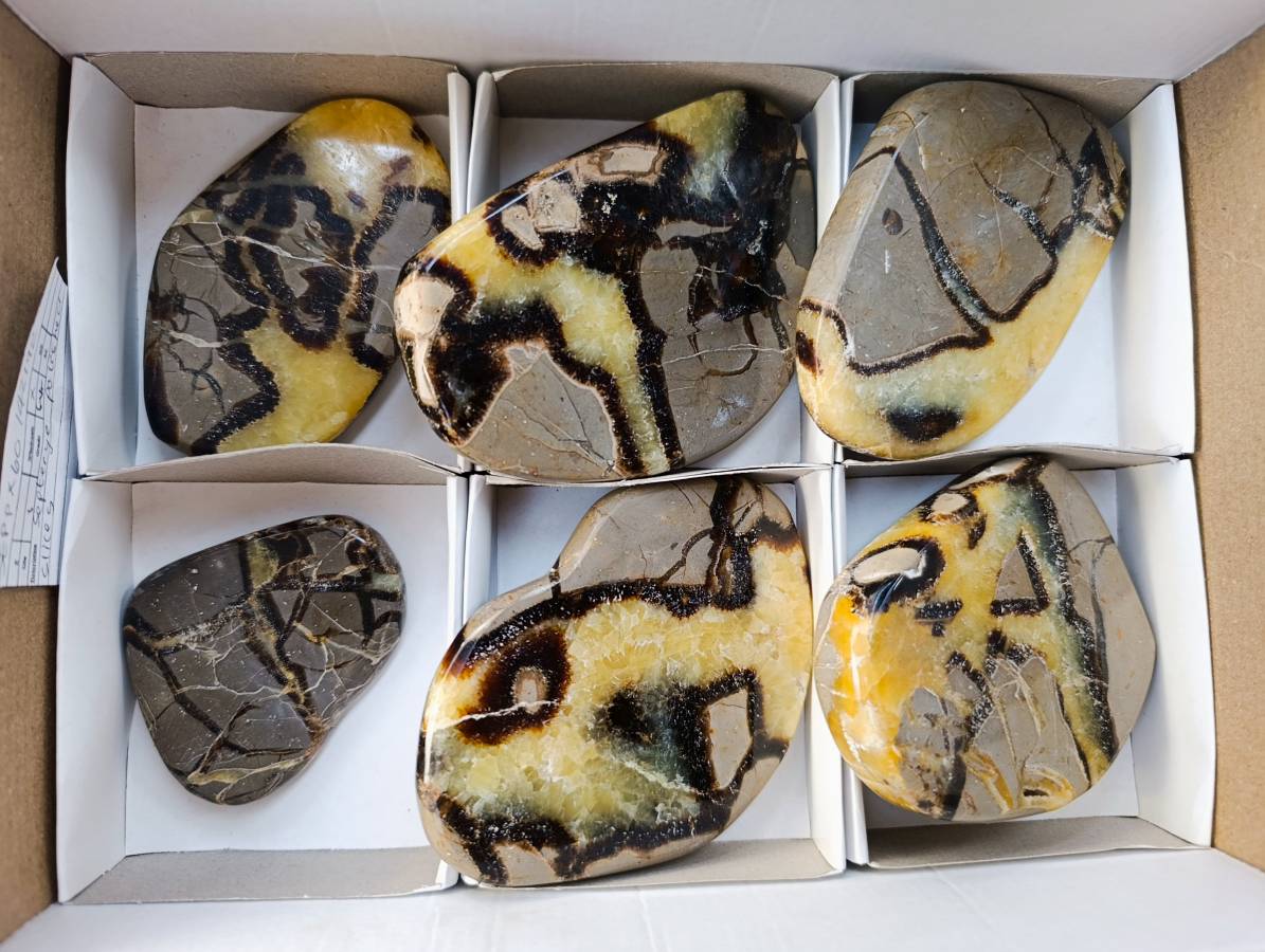 Polished Septerye Towers x 6 From Mahajanga, Madagascar - Toprock Gemstones and Minerals 