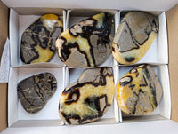 Polished Septerye Towers x 6 From Mahajanga, Madagascar