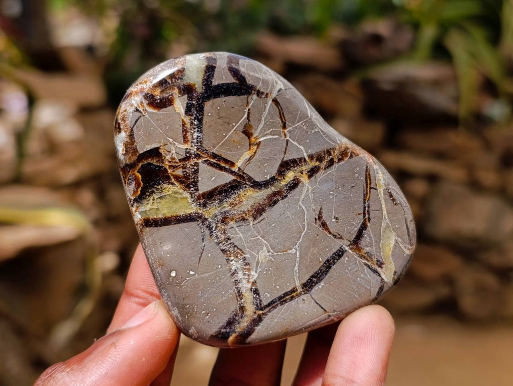 Polished Septerye Towers x 6 From Mahajanga, Madagascar - Toprock Gemstones and Minerals 