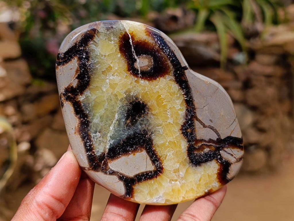 Polished Septerye Towers x 6 From Mahajanga, Madagascar - Toprock Gemstones and Minerals 