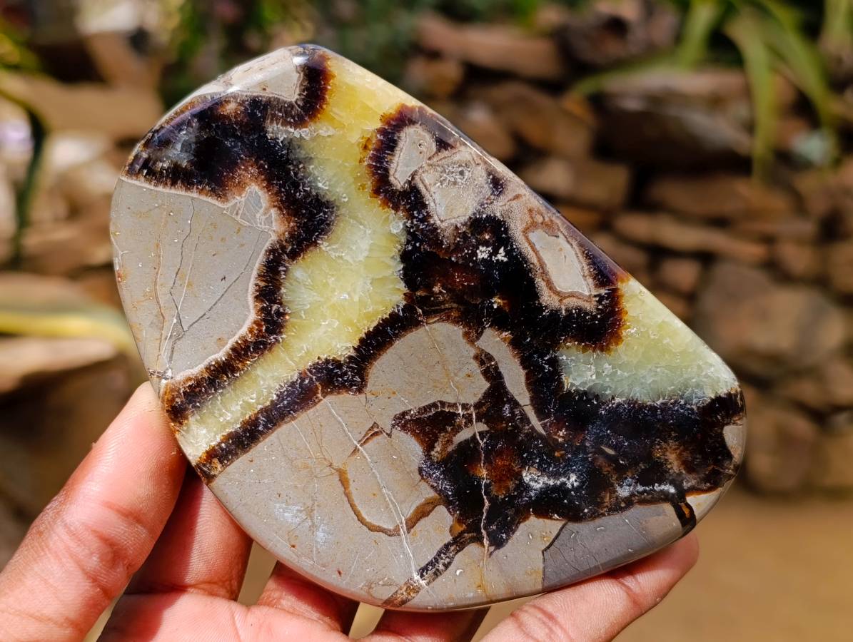 Polished Septerye Towers x 6 From Mahajanga, Madagascar - Toprock Gemstones and Minerals 