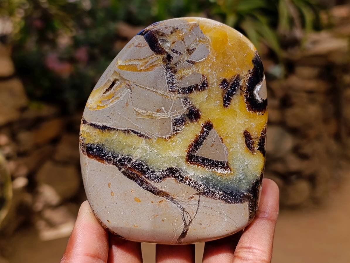 Polished Septerye Towers x 6 From Mahajanga, Madagascar - Toprock Gemstones and Minerals 