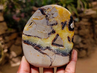 Polished Septerye Towers x 6 From Mahajanga, Madagascar