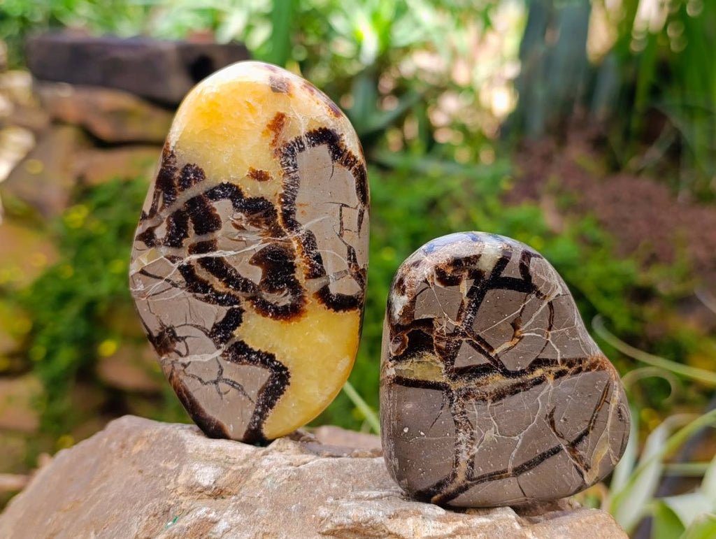 Polished Septerye Towers x 6 From Mahajanga, Madagascar - Toprock Gemstones and Minerals 