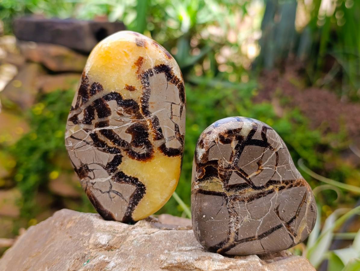 Polished Septerye Towers x 6 From Mahajanga, Madagascar - Toprock Gemstones and Minerals 