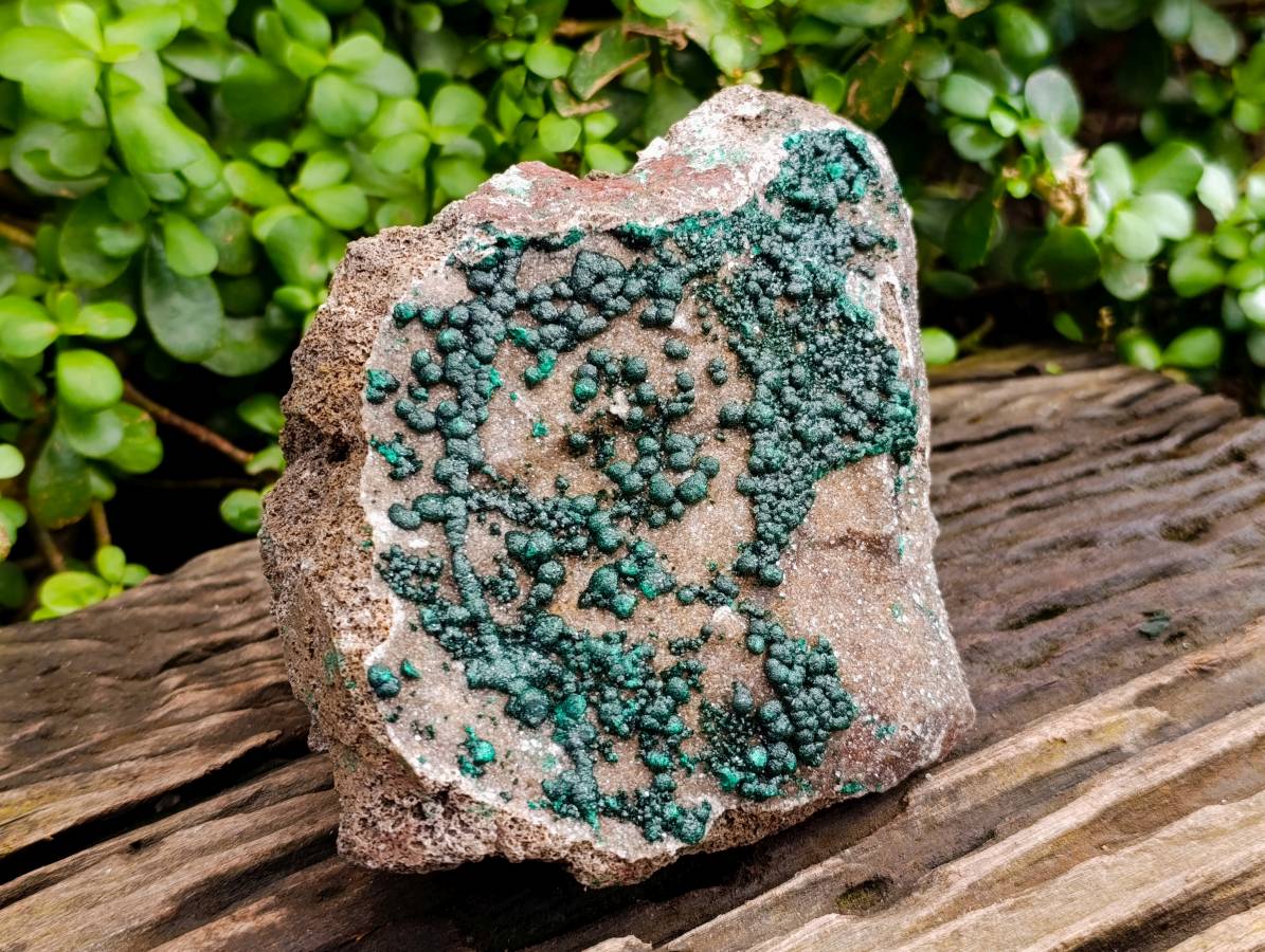 Natural Crystalline Ball Malachite and Drusy Quartz On Dolomite Matrix Specimens x 1 From Kambove, Congo - Toprock Gemstones and Minerals 