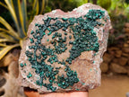 Natural Crystalline Ball Malachite and Drusy Quartz On Dolomite Matrix Specimens x 1 From Kambove, Congo - Toprock Gemstones and Minerals 